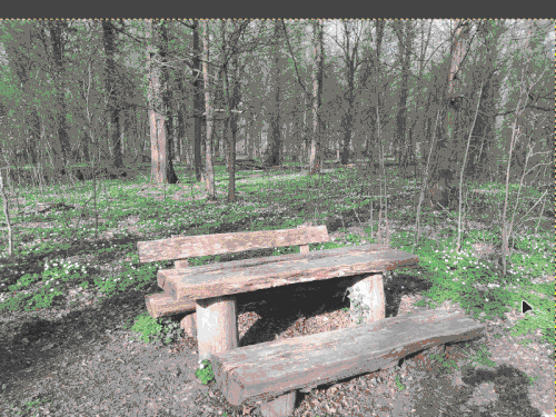 Animation for the creation of monochrome grayscale images, which are then colored red or green for the right and left eye